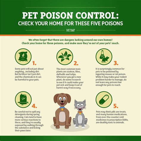  If your veterinarian is unavailable, you can also call the Pet Poison Helpline at , or the ASPCA Animal Poison Control Center at for more help identifying the level of concern for toxicity and help determining if your pet needs to go to the emergency room